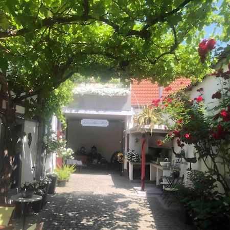 Ferienwohnung Im 'Schmoller - Hof' Neustadt an der Weinstraße Exteriör bild