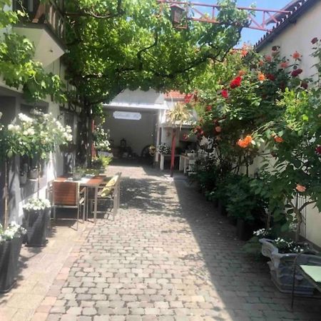 Ferienwohnung Im 'Schmoller - Hof' Neustadt an der Weinstraße Exteriör bild